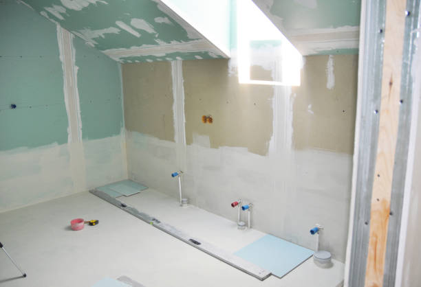 Best Environmental Consulting for Mold Prevention  in Dousman, WI