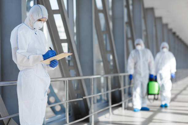 Best Basement Mold Removal  in Dousman, WI