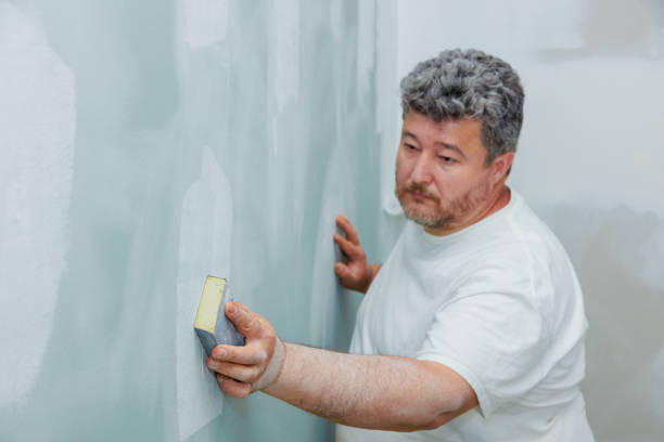 Mold Odor Removal Services