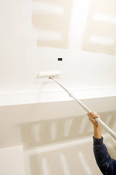 Best Airborne Mold Testing  in Dousman, WI