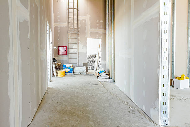 Trusted Dousman, WI Mold Removal Experts