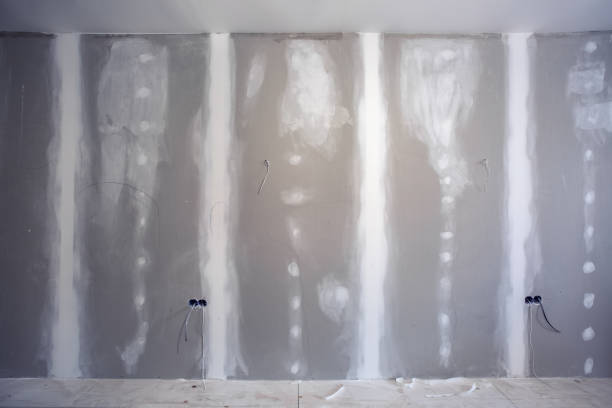 Best Mold Prevention Services  in Dousman, WI